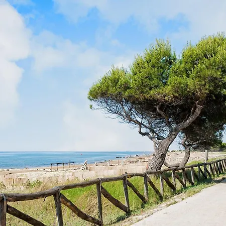 Beachside Comfort In A Great Location شقة